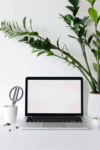 采耳加盟哪个好？天涯老哥推荐这些宝藏品牌！ 第1张